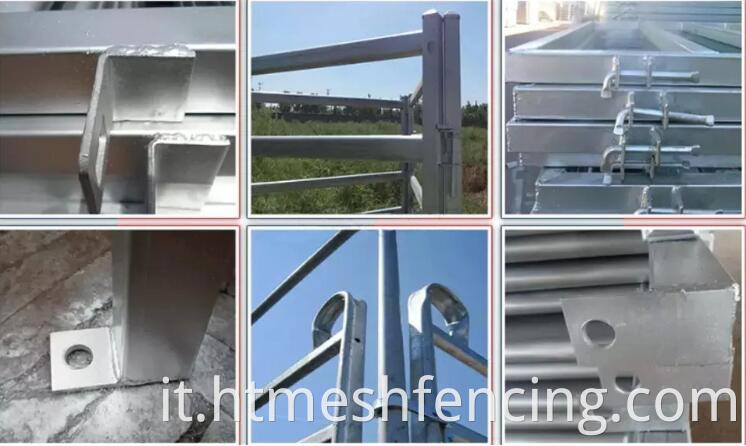 Pannelli di recinte portatili H-W 12 'Gates Economy Pannelli di cavalli Connettori a catena